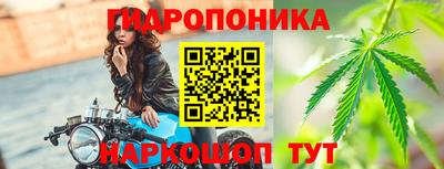 гашик Заводоуковск