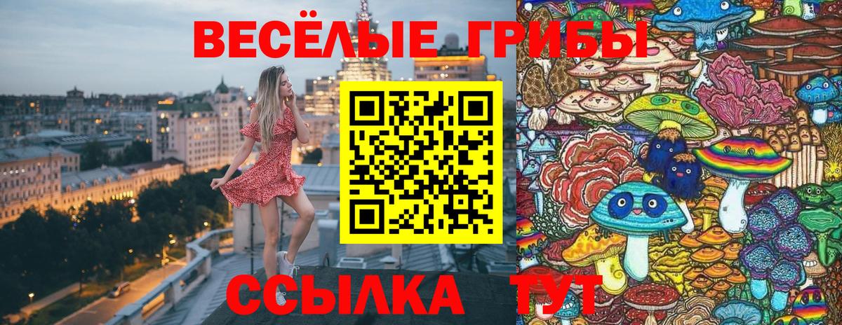 Галлюциногенные грибы MAGIC MUSHROOMS  Вход с VPN  Ипатово 