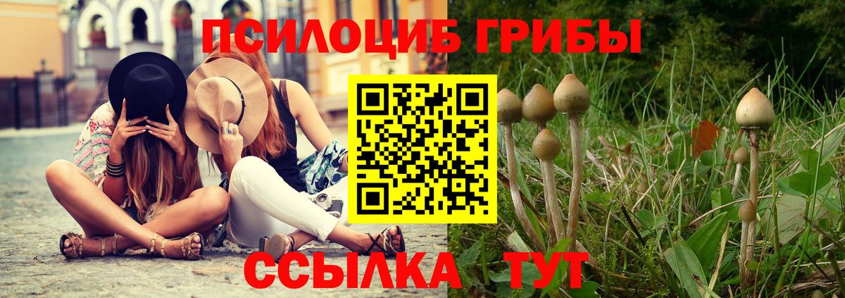 Псилоцибиновые грибы Magic Shrooms Ипатово